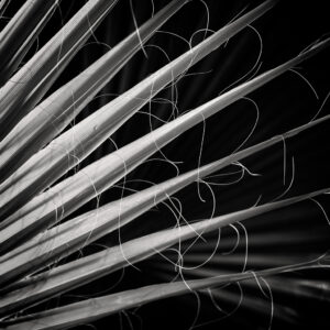 Oasis of Abstraction