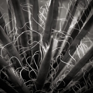 Threaded