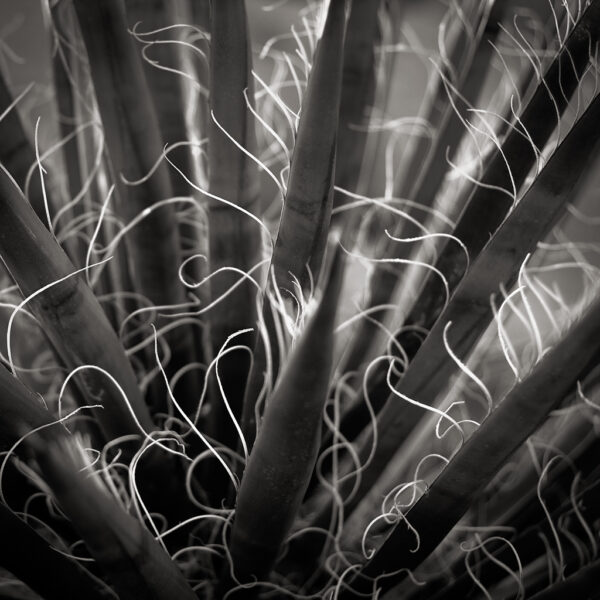 Threaded