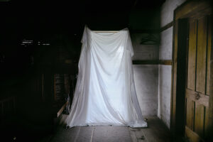 Mystery in the Attic