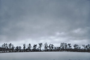 Snow Field