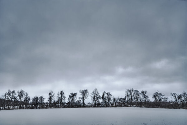 Snow Field