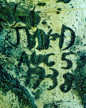 Ken Davis – Aspen Initials, Day in the Sierra