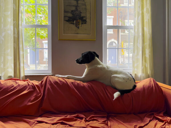 Rebecca Gregg – Catharine Street, 19147