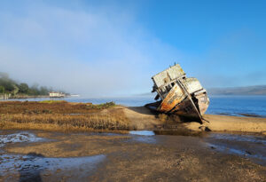 Peri Hoke – Point Reyes Shipwreck