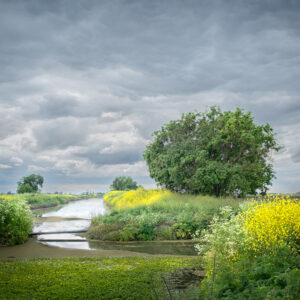 Mark Howell – Spring Storm over Drainage Canal #2, near Clarksburg