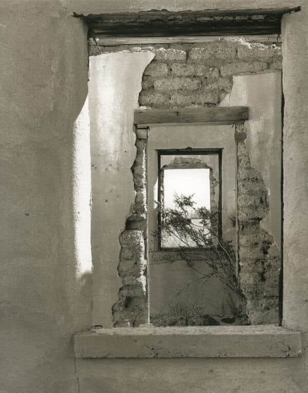 Les Allert - Windows and Doors