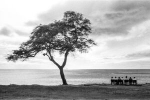 Willy Lizarraga – Great Sunset Expectations