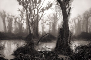 David Nasater – Foggy Morning on the River