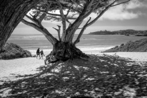 Mark Rideout – Sunset Cypress
