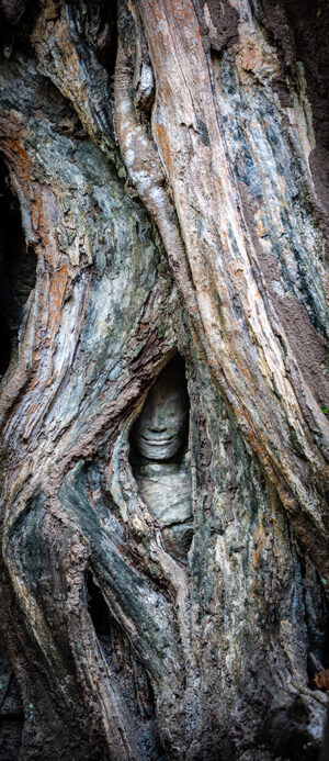 Victoria Ruderman – Buddha Within