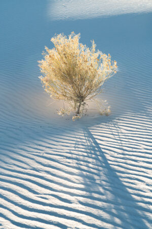 Kathleen Sewell – Aglow