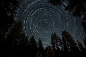 Tracy Christenson – Washoe Valley Stars