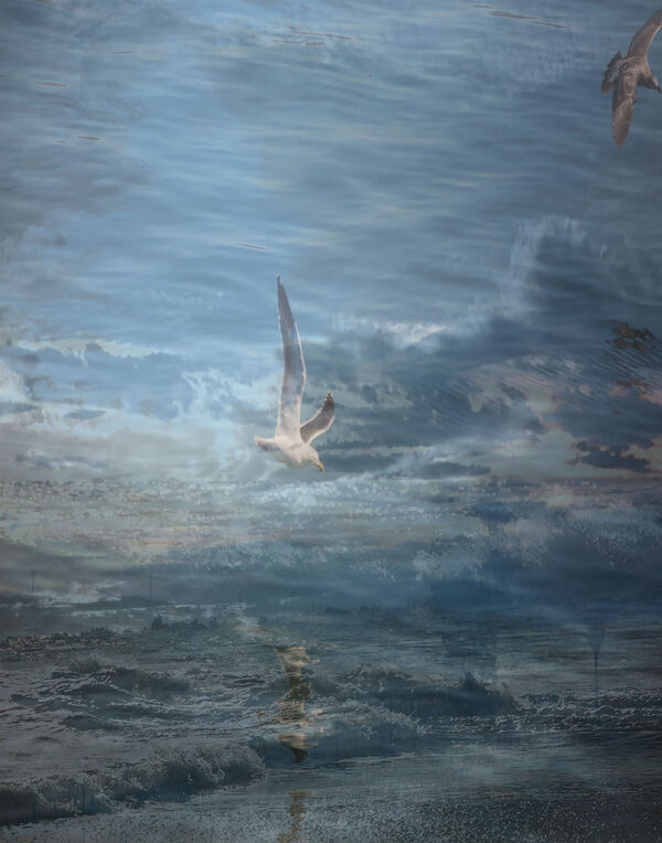 Beverly Page – Land,Ocean and Birds