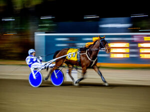 Luis Vera – Harness Racing