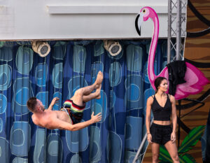 Flamingo, 2019