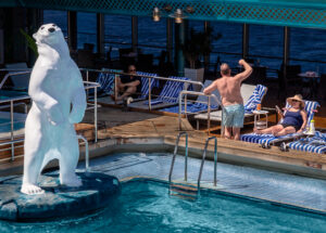Polar Bear, 2022