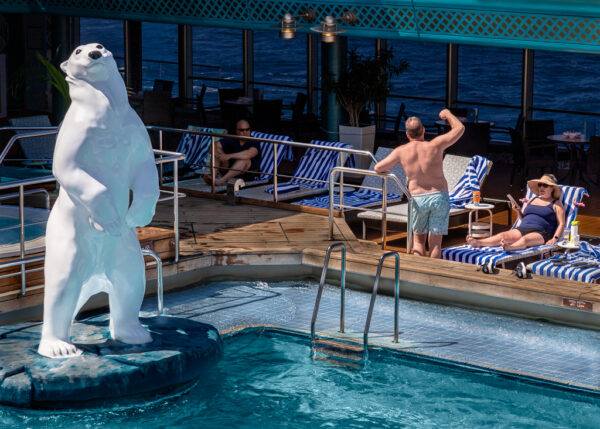Polar Bear, 2022