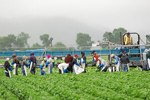 Seasonal Workers
