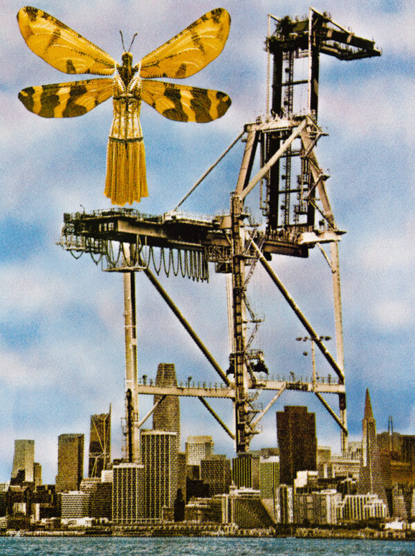 SF Skyline