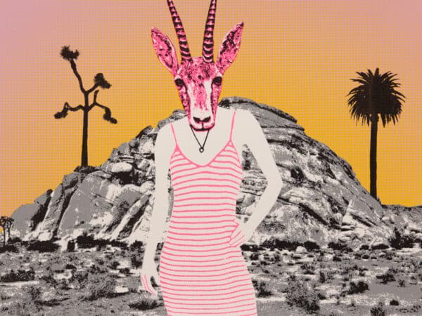 Desert Fashion