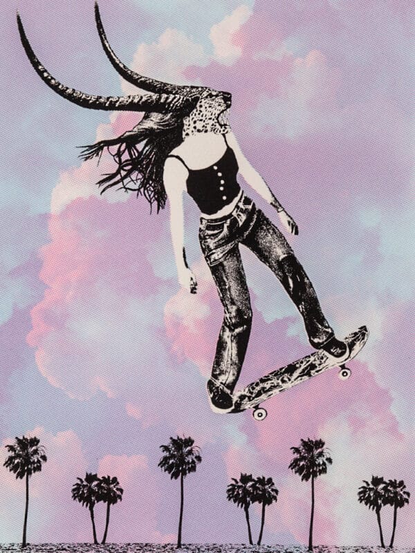 The Ferocious Skateboarder