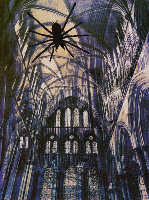 The Holy Spider