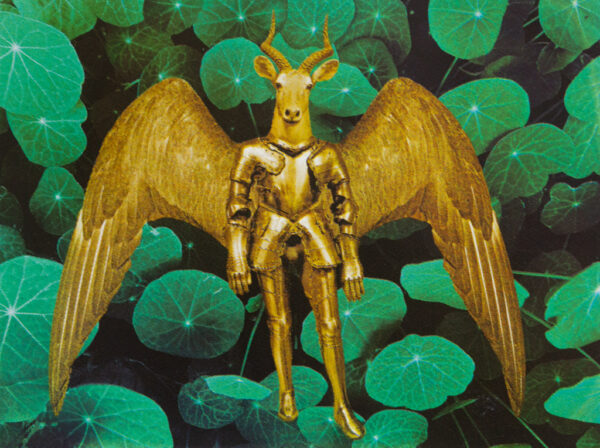 The Protector