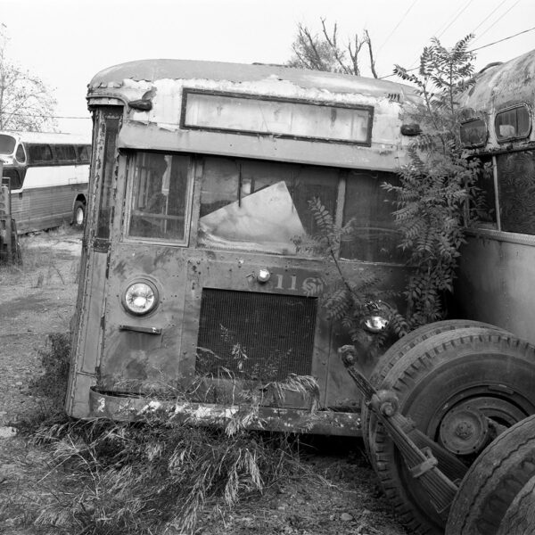 Bus Portrait #3