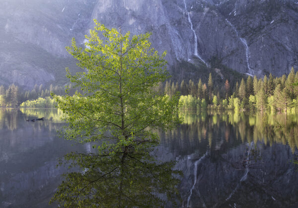 Flood #2, Leidig Meadow, Yosemite Valley