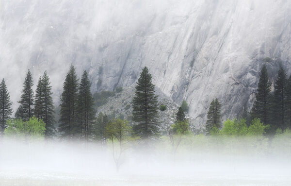 Mist and Trees #1, Yosemite