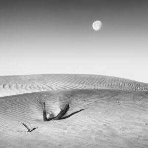 Moonset,  Death Valley