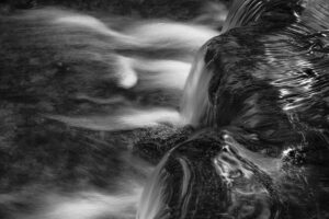 Moss Patch, Fern Spring, Yosemite