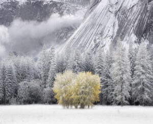 When Seasons Collide, Ahwahnee Meadow, Yosemite