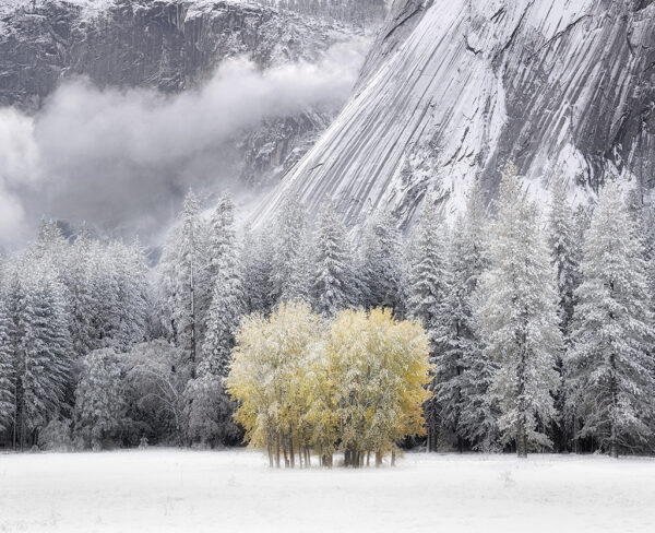 When Seasons Collide, Ahwahnee Meadow, Yosemite