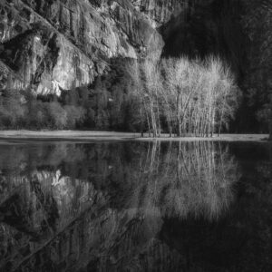 Winter Flood, Ahwahnee Meadow