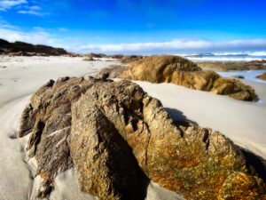 Asilomar State Beach, CA