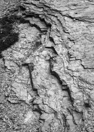 Jasper Roadcut #1