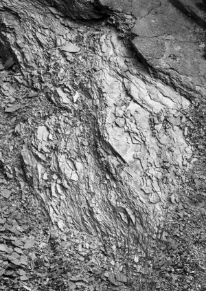 Jasper Roadcut #10