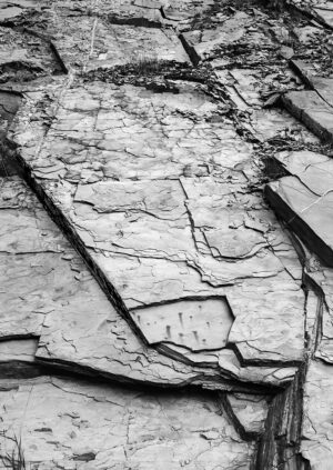 Jasper Roadcut #5