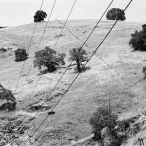 Lines in a Landscape