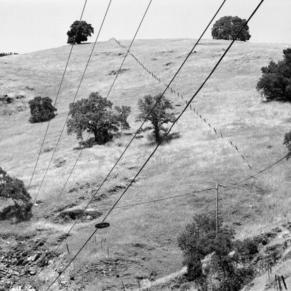 Lines in a Landscape