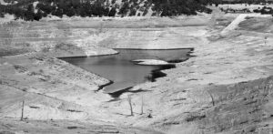 Puddle, New Melones Reservoir