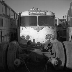 Bus Portrait #1