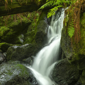 Trillium Falls