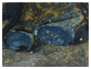 John Angell - Tidepool 4