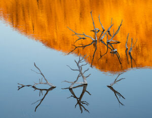 Scott Atkinson - Backwater