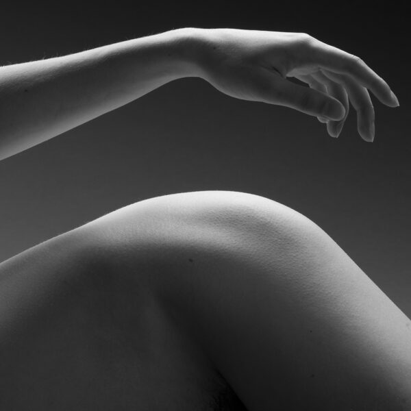 Dana Davis - Kore #615