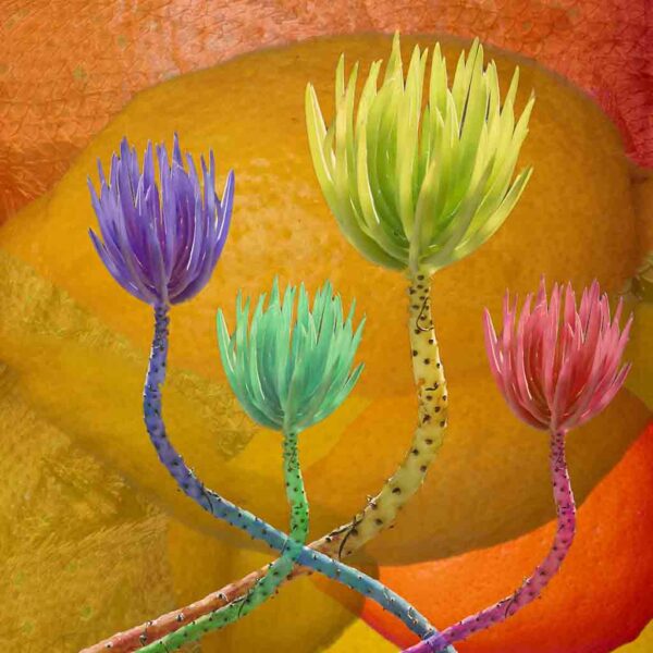 Claude Duplat - Spring
