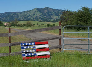 Alan Fishleder - Rustic Flag